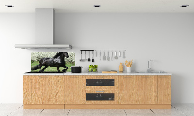 Keuken achterwand Zwarte paardenbloemen