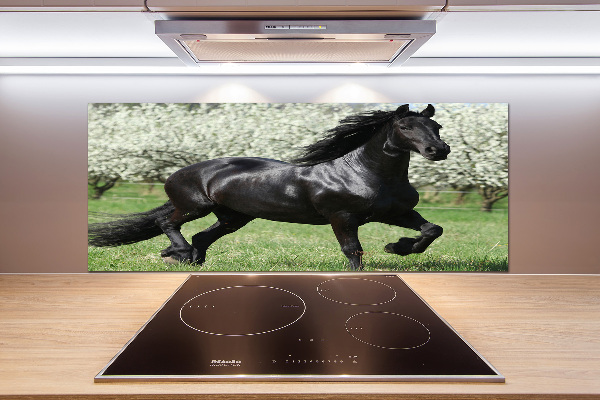 Keuken achterwand Zwarte paardenbloemen