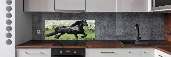 Keuken achterwand Zwarte paardenbloemen