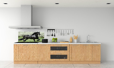 Keuken achterwand Zwarte paardenbloemen