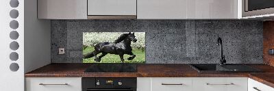 Keuken achterwand Zwarte paardenbloemen