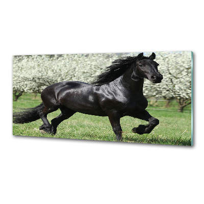 Keuken achterwand Zwarte paardenbloemen