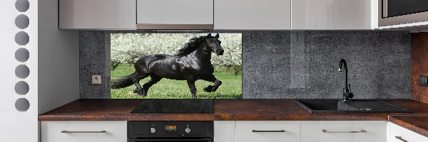 Keuken achterwand Zwarte paardenbloemen