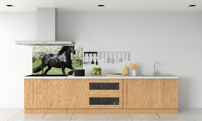 Keuken achterwand Zwarte paardenbloemen