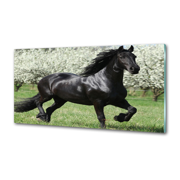 Keuken achterwand Zwarte paardenbloemen