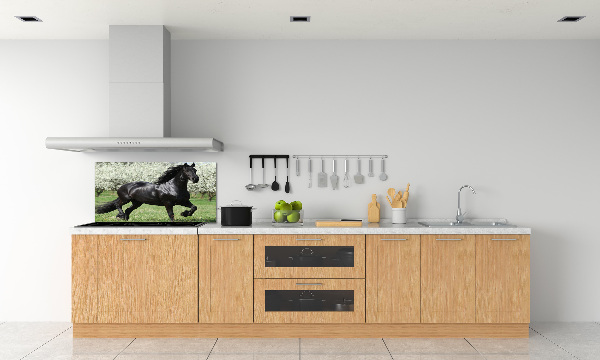Keuken achterwand Zwarte paardenbloemen