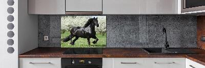 Keuken achterwand Zwarte paardenbloemen