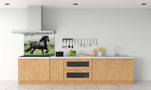 Keuken achterwand Zwarte paardenbloemen