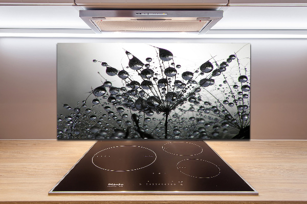 Spatplaat keuken Paardenbloemzaden