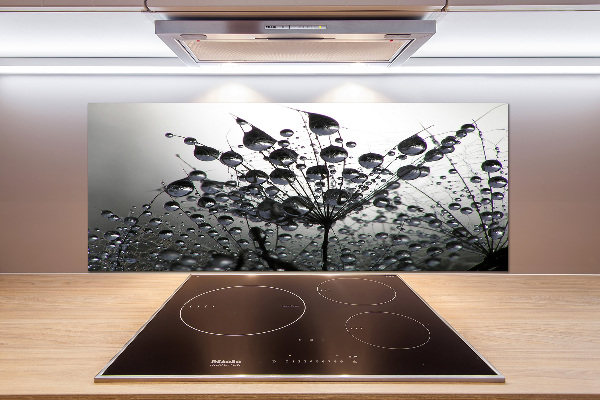 Spatplaat keuken Paardenbloemzaden