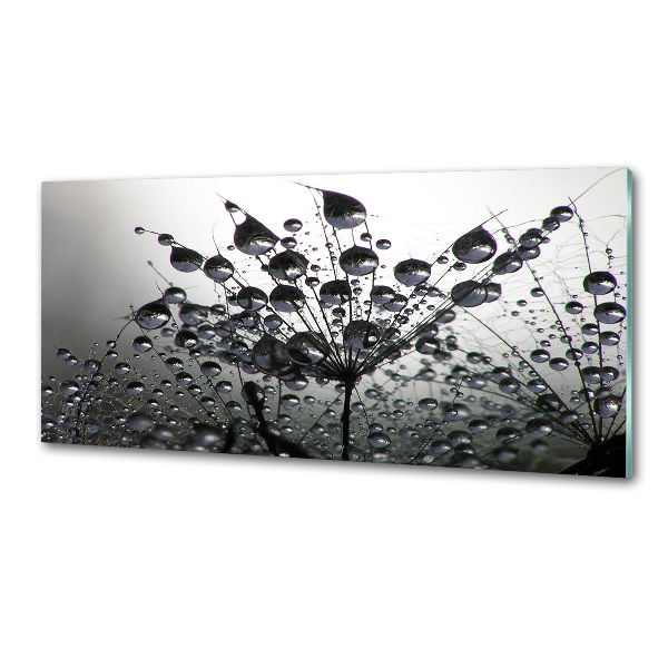 Spatplaat keuken Paardenbloemzaden