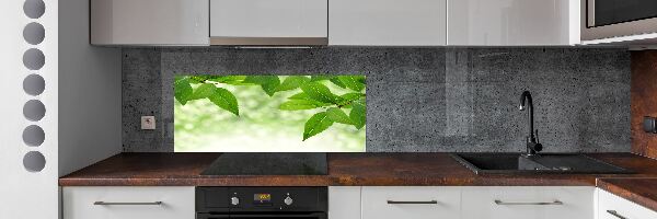 Glazen achterwand keuken Groene bladeren