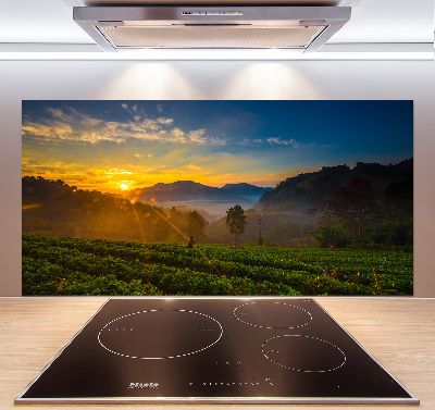 Spatplaat keuken theeplantage