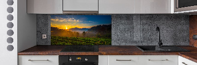 Spatplaat keuken theeplantage