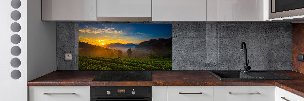 Spatplaat keuken theeplantage