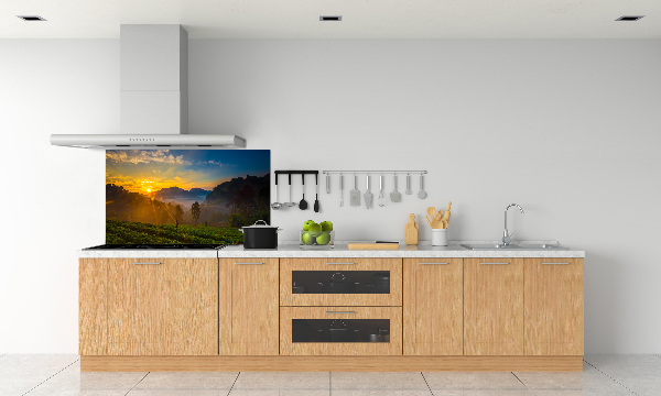 Spatplaat keuken theeplantage