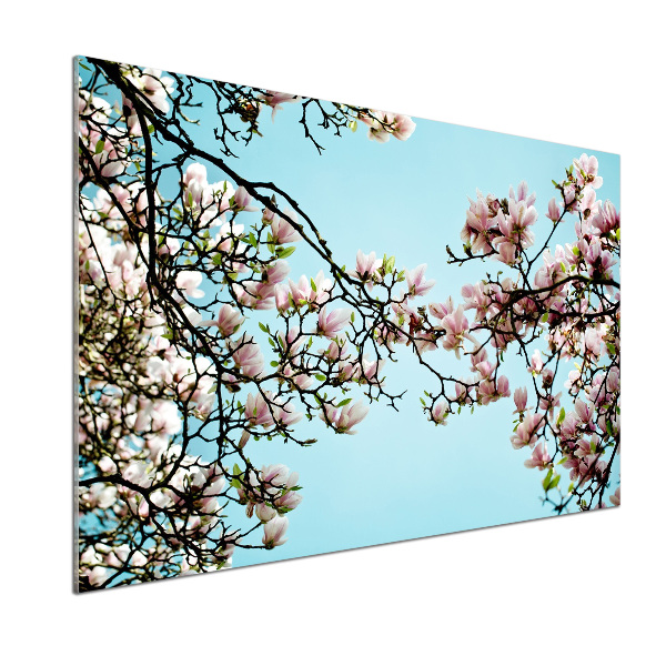 Glazen achterwand keuken Magnolia bloemen