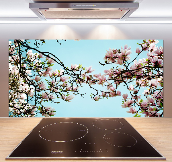 Glazen achterwand keuken Magnolia bloemen