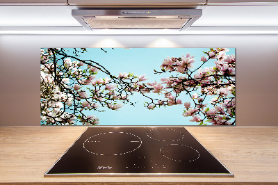 Glazen achterwand keuken Magnolia bloemen