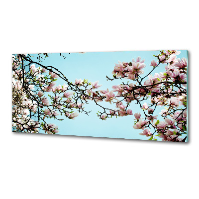 Glazen achterwand keuken Magnolia bloemen