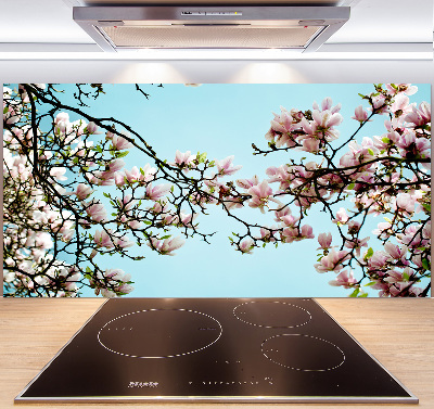 Glazen achterwand keuken Magnolia bloemen