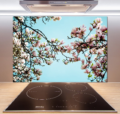 Glazen achterwand keuken Magnolia bloemen