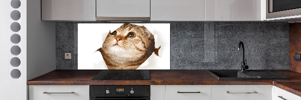 Glazen achterwand keuken Kat