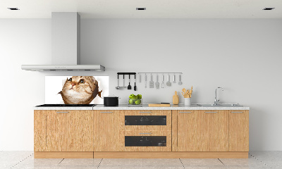 Glazen achterwand keuken Kat