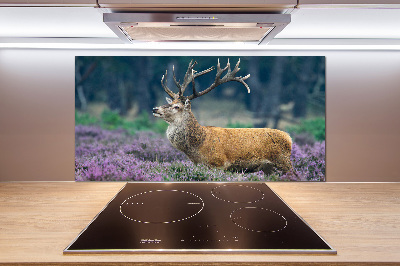 Spatscherm keuken Hert tussen de lavendel