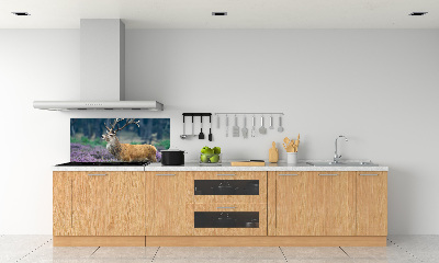 Spatscherm keuken Hert tussen de lavendel