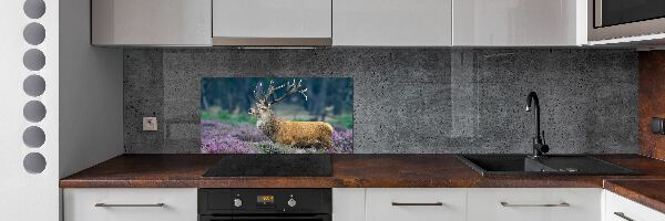 Spatscherm keuken Hert tussen de lavendel