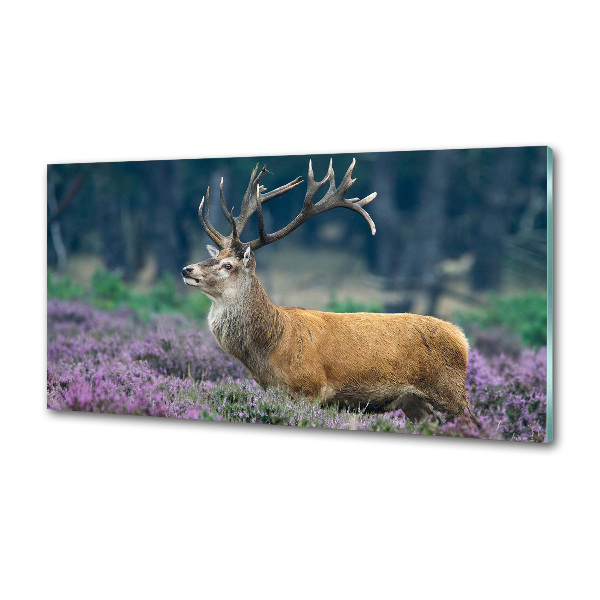 Spatscherm keuken Hert tussen de lavendel