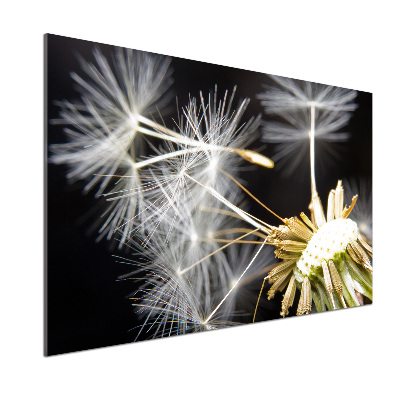 Spatscherm keuken Paardenbloemzaden