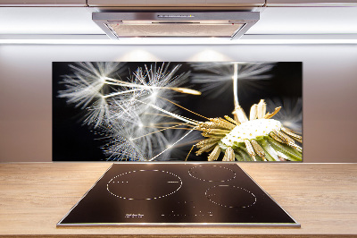 Spatscherm keuken Paardenbloemzaden