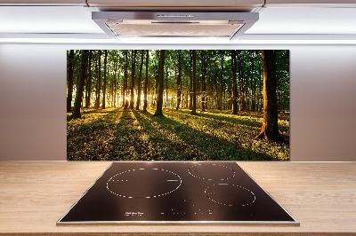 Achterwand keuken Zonnestralen