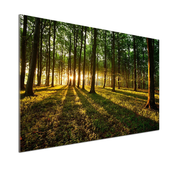 Achterwand keuken Zonnestralen