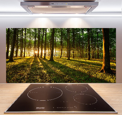 Achterwand keuken Zonnestralen