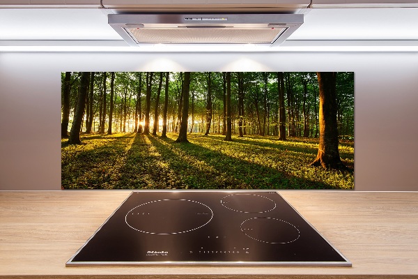 Achterwand keuken Zonnestralen