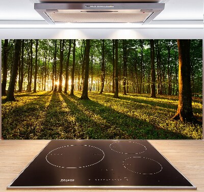 Achterwand keuken Zonnestralen