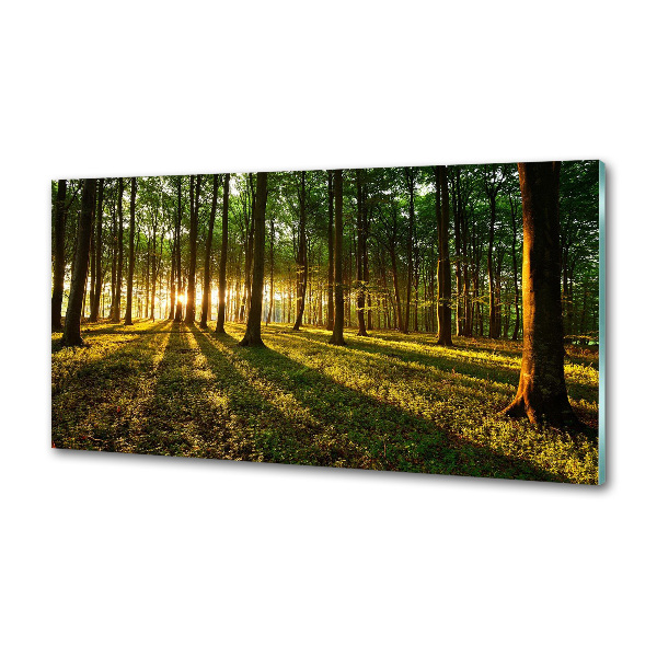 Achterwand keuken Zonnestralen