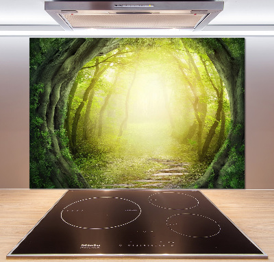 Spatplaat keuken Boomtunnel