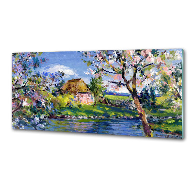 Spatplaat keuken Lentelandschap