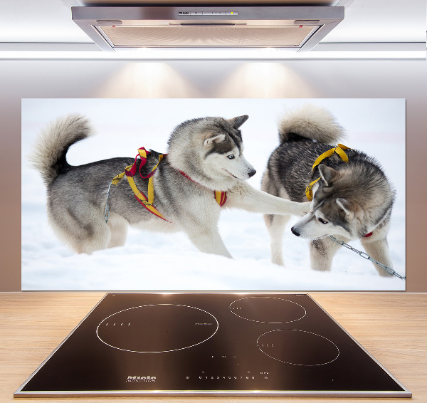 Glazen achterwand keuken Huskies in de winter