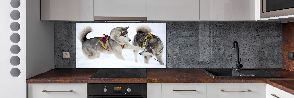 Glazen achterwand keuken Huskies in de winter