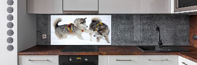 Glazen achterwand keuken Huskies in de winter