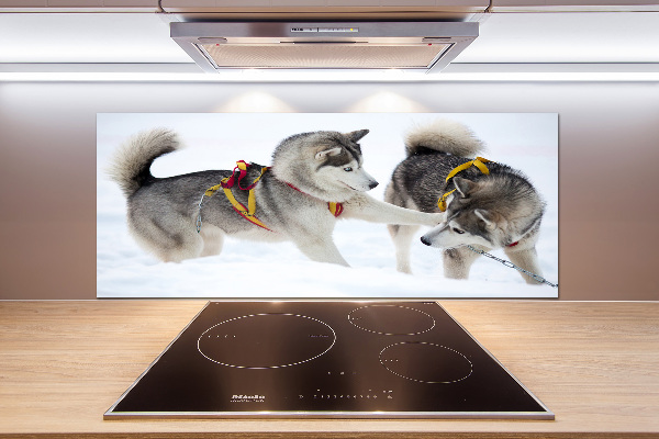 Glazen achterwand keuken Huskies in de winter