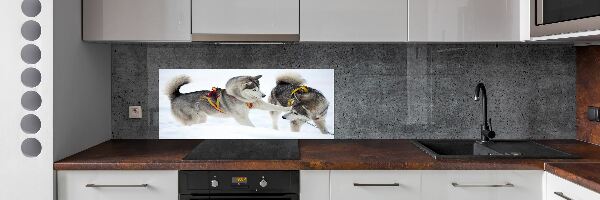 Glazen achterwand keuken Huskies in de winter