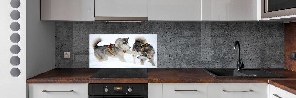 Glazen achterwand keuken Huskies in de winter