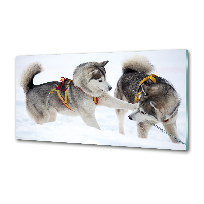 Glazen achterwand keuken Huskies in de winter