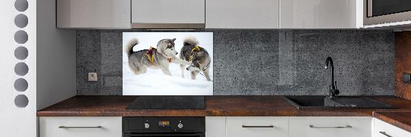 Glazen achterwand keuken Huskies in de winter